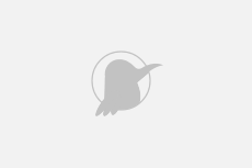 5 Bedroom Apartment for rent in Vasant Vihar, New Delhi...